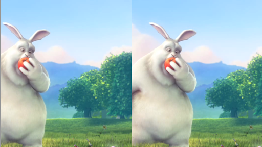 Liberate the Animation