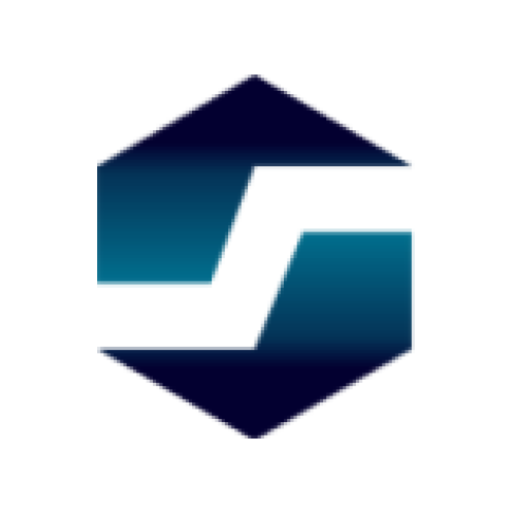 DSI 랩핑기 logo
