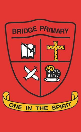 Bridge IPS Screen 2