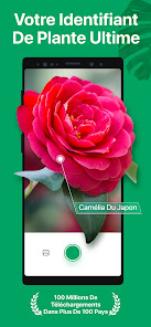Capture d'écran