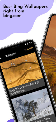 Android application Daily Wallpapers Pro screenshort