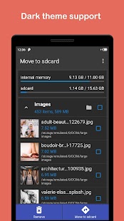 Move files to SD card Ekran görüntüsü