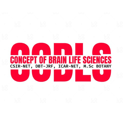 CONCEPT OF BRAIN CLASSES logo