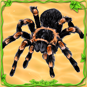 Spider Simulator: Life of Spider