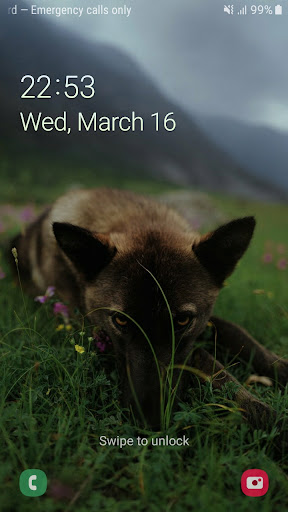 Android application Dogs HD Wallpapers screenshort