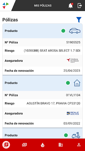 Seguros Cano Screen 3
