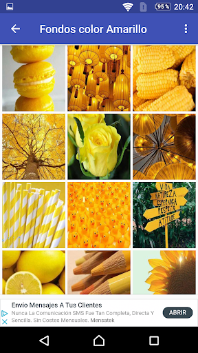 AMARILLO COLOR Wallpaper HD Screen 3