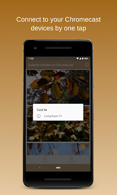 Autumn Garden on Chromecastのおすすめ画像2