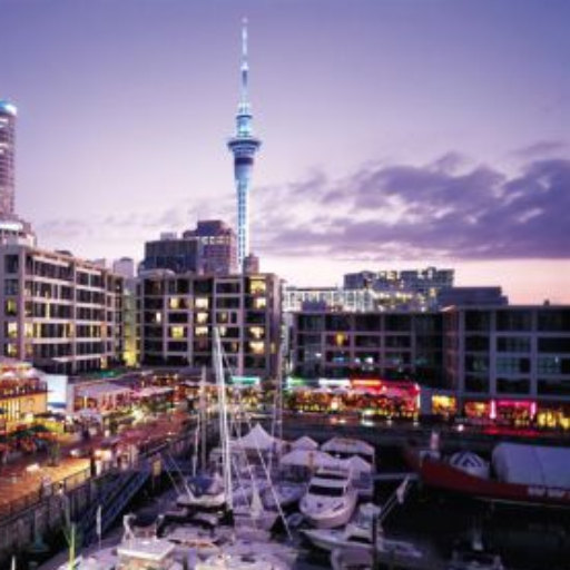 Visit New Zealand logo