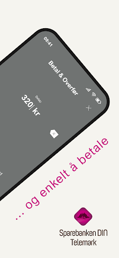 DIN Mobilbank Screen 2