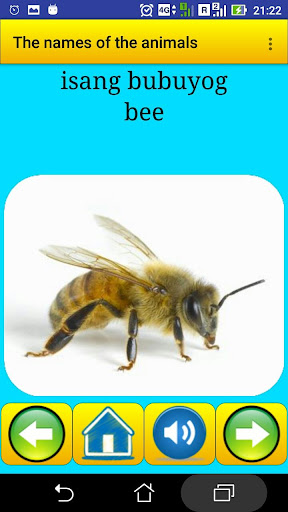 Animal names in Filipino Screen 2