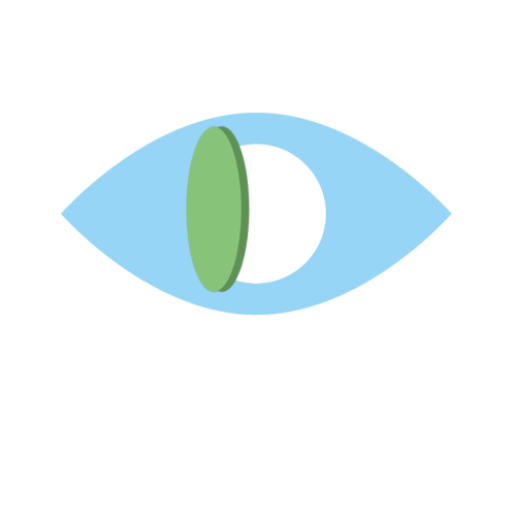 Visible Access logo
