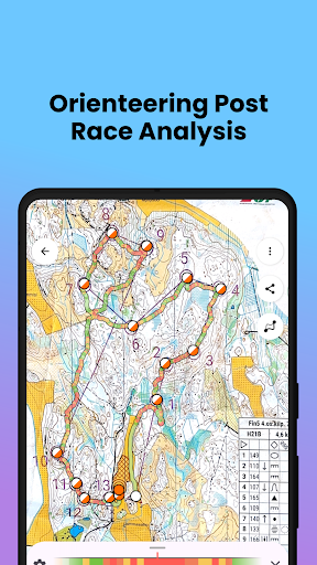 Screenshot of Control Orienteering Analysis