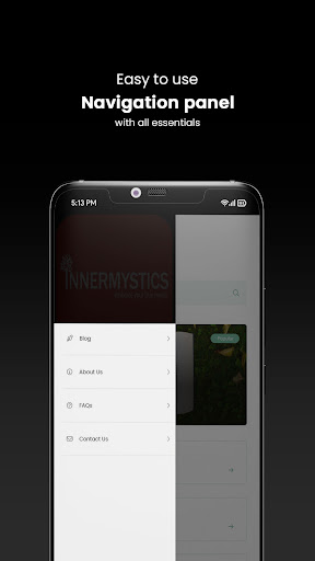 INNERMYSTICS Screen 2