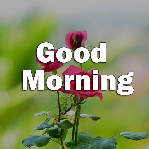 Hindi Good Morning Images logo
