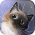 Peper Kitten1.3.4 (Unlocked)