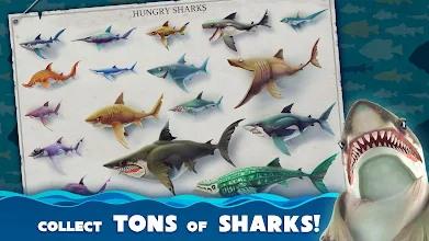 Hungry shark world mod apk raja apk