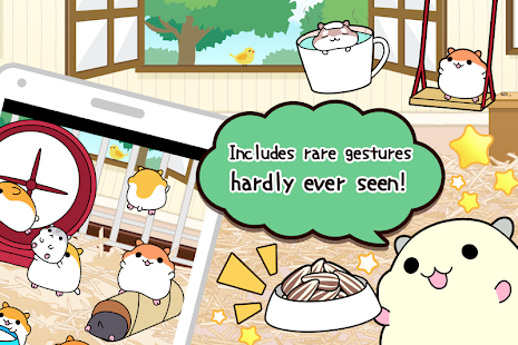 hamster collection Screenshot