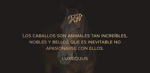 Luxequus - Horses social netwo