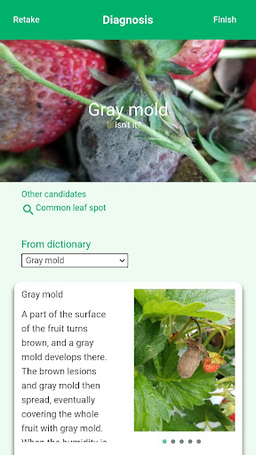 Android application SCIBAI, Diag. & SNS for veggie screenshort