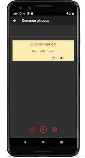 Paso - Master Spanish Phrases Screen 3