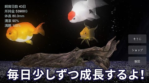 金魚育成アプリ・ポケット金魚のおすすめ画像3