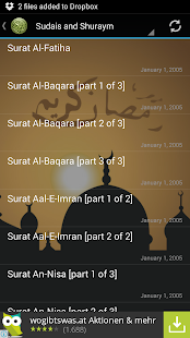 Quran Urdu Audio Translation Screenshot