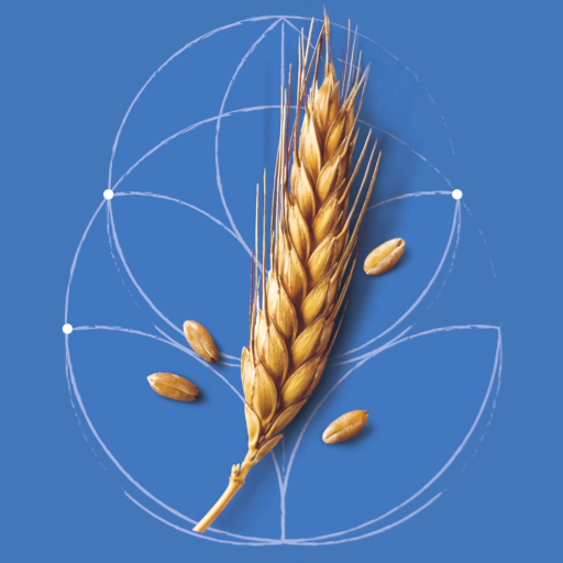 granoduro.net logo