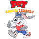 Pet Rabbit Subway Runner