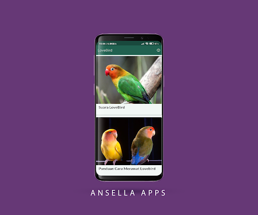 Android application Suara Burung LoveBird screenshort