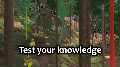 Safetree Silviculture Screen 2