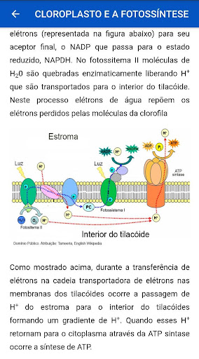 Biologia Celular Interativa Screen 3