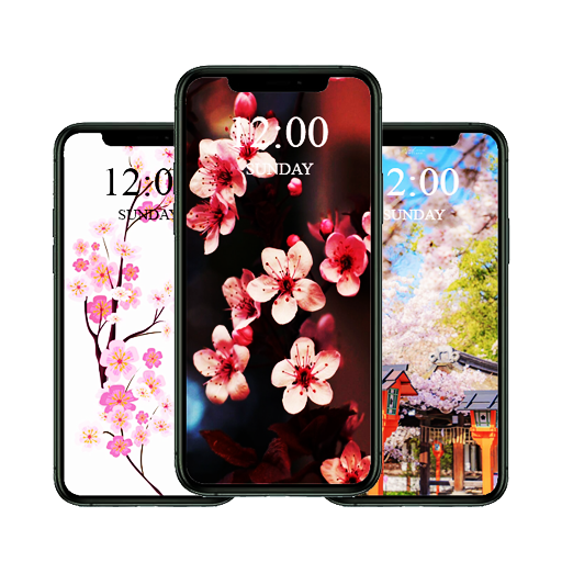 Sakura Wallpapers 2024 logo