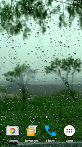 Rain Video Live Wallpaper