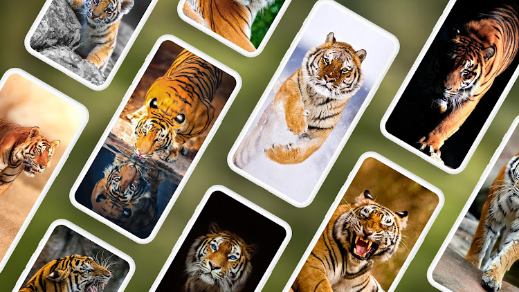 Tiger Wallpapers PRO - 5.7.91 - (Android)
