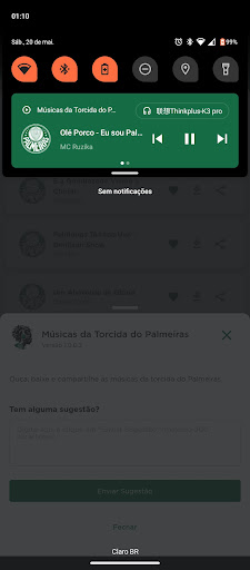 Músicas do Palmeiras Screen 3