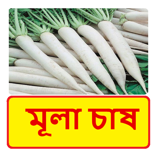 মূলা চাষ ~ Radish Cultivation logo