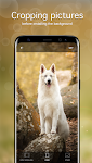 screenshot of Dog Wallpapers & Puppy 4K