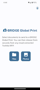 e-BRIDGE Global Print Unknown