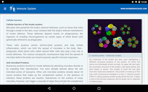 Immune System Screen 2
