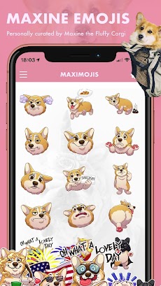 MaxiMojis - Corgi Dog Stickersのおすすめ画像2