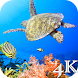 Turtle 4K Live Wallpaper - Androidアプリ