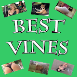 Best Vines Video icon