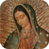 Virgen de Guadalupe 2017 icon