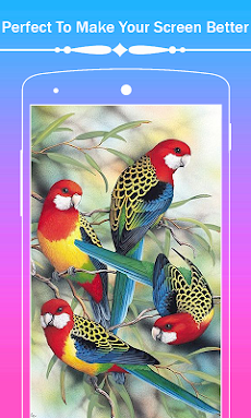 Birds HD Wallpapersのおすすめ画像5