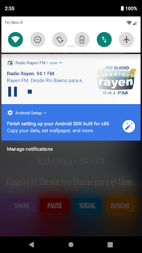 Radio Rayen FM Screen 2