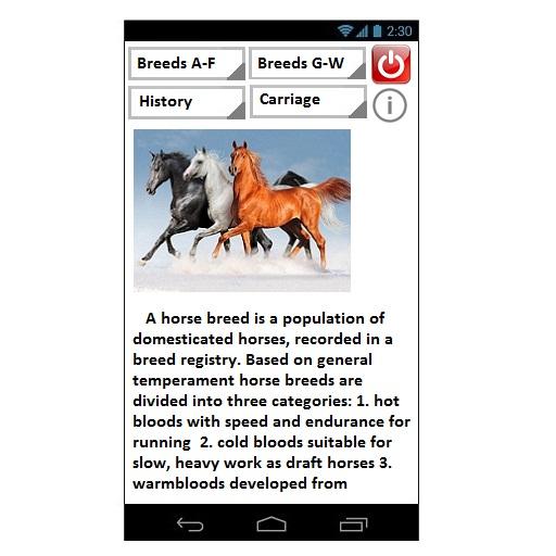 Android application Horses Recount screenshort
