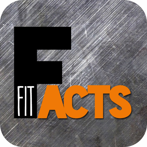 Fit Facts Consultoria logo