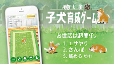 癒しの子犬育成ゲーム〜柴犬編〜のおすすめ画像1