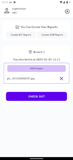 MS-market merchandising system Screen 3